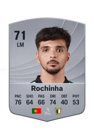 Rochinha