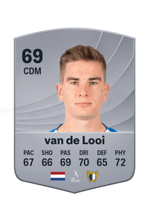 Tom van de Looi