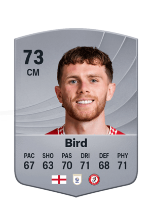Max Bird