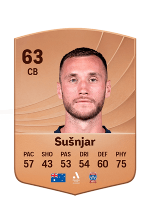 Aleksandar Šušnjar