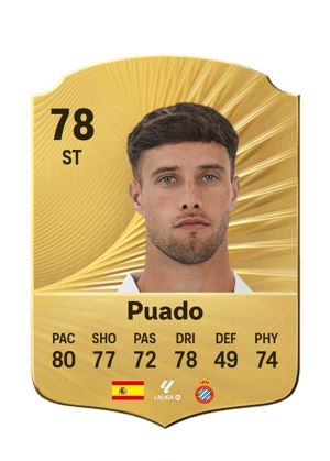 Puado
