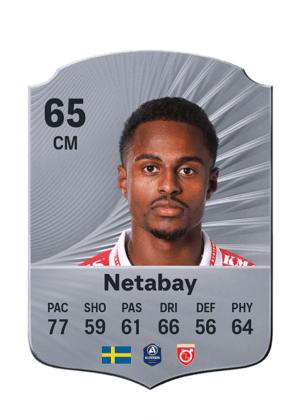 Nahom Girmai Netabay