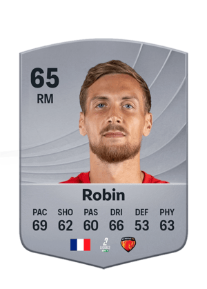 Milan Robin
