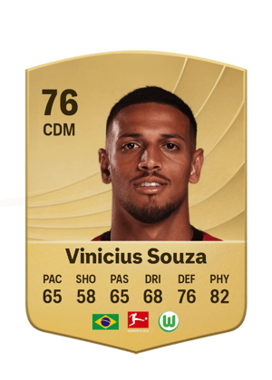 Vinicius Souza