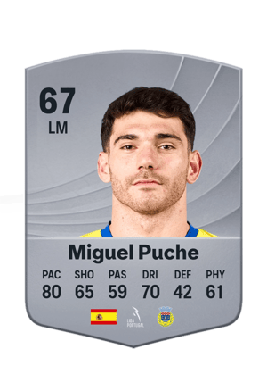 Miguel Puche