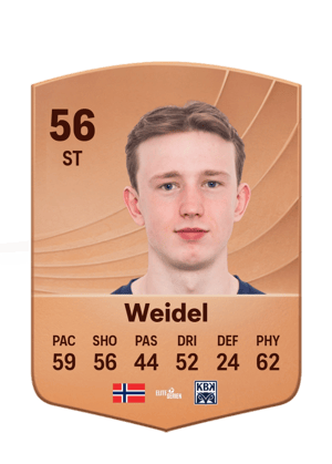 Marius Weidel