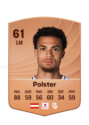 Manuel Polster