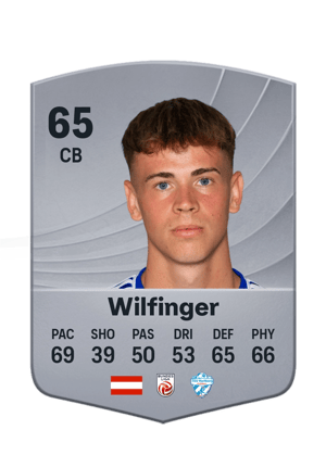 Fabian Wilfinger