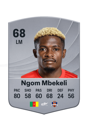 Jerome Ngom Mbekeli