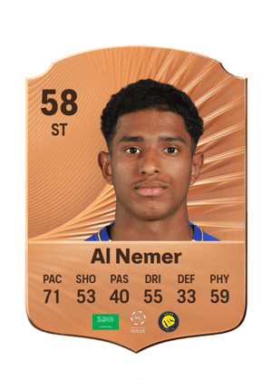 Meshari Al Nemer