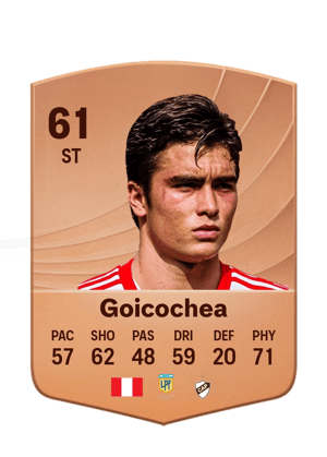 Juan Pablo Goicochea