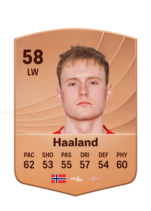 Markus Haaland
