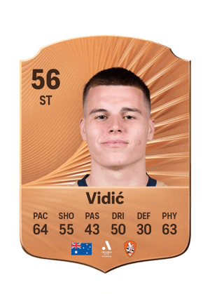 Justin Vidić
