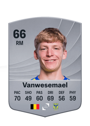 Robert-Jan Vanwesemael