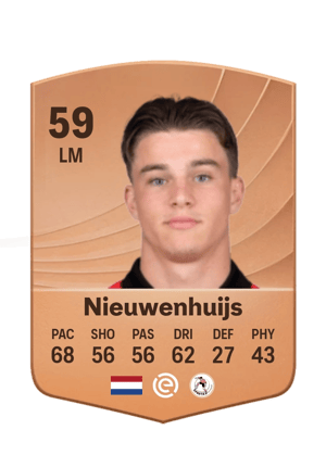 Luc Nieuwenhuijs
