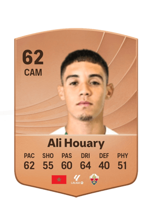 Ali Houary