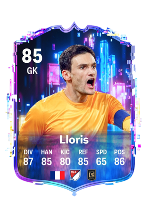 Hugo Lloris