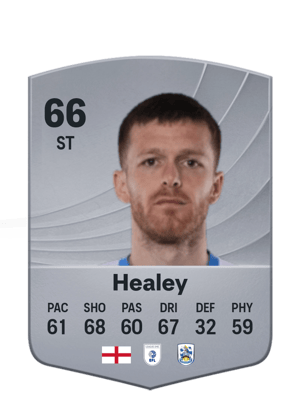 Rhys Healey