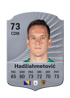 Amir Hadžiahmetović