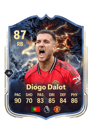 Diogo Dalot