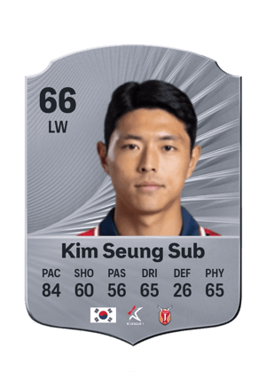 Kim Seung Sub