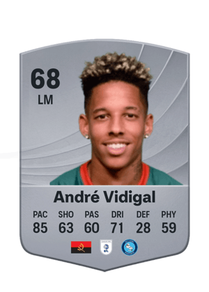 André Vidigal