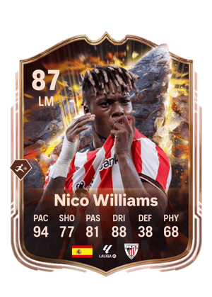 Nico Williams