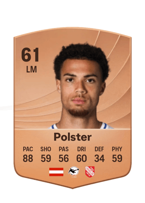 Manuel Polster