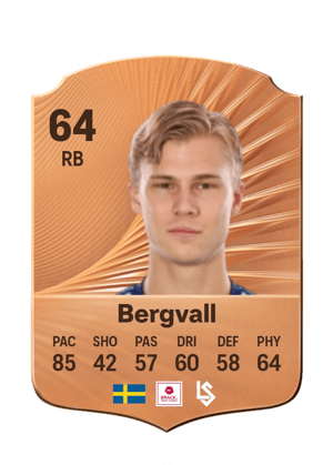 Theo Bergvall
