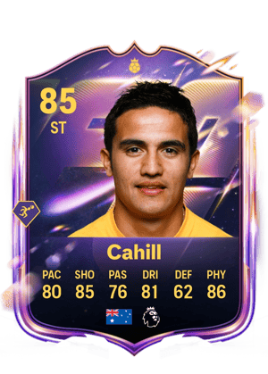 Tim Cahill