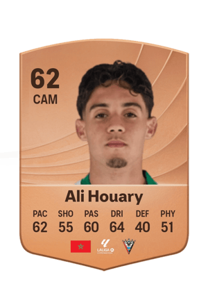 Ali Houary