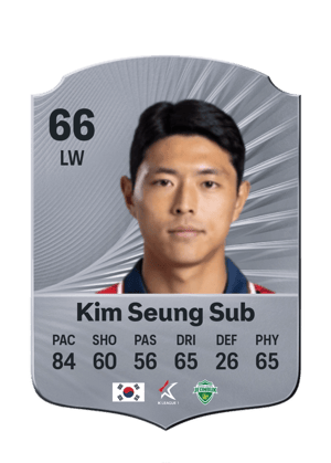 Kim Seung Sub