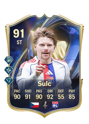 Pavel Šulc