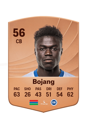 Yaya Bojang