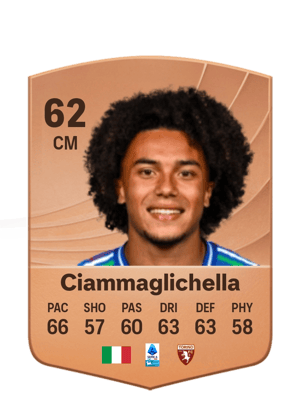 Aaron Ciammaglichella