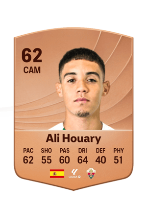 Ali Houary