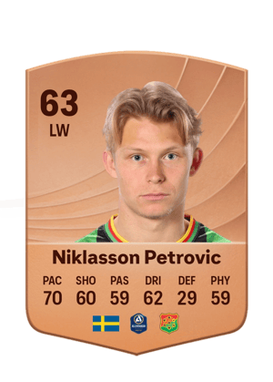 Rasmus Niklasson Petrovic