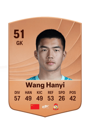 Wang Hanyi