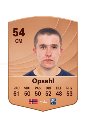 Herman Sjåvik Opsahl