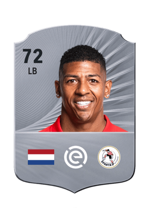 Patrick van Aanholt