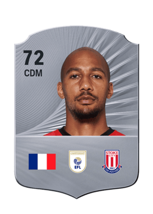 Steven Nzonzi