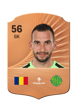 Cristian Nedelcovici