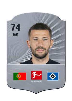 Daniel Heuer Fernandes