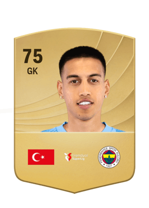 İrfan Can Eğribayat