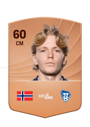 Heine Gikling Bruseth