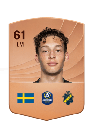 Victor Gonçalves Andersson