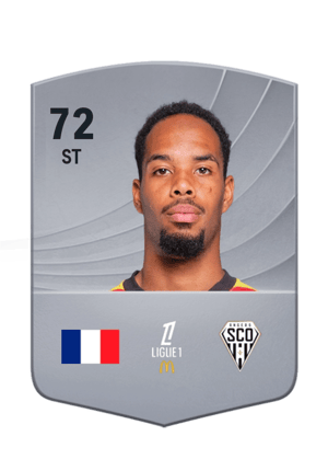 Rémy Labeau Lascary