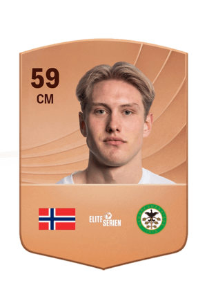 Arne Hopland Ødegård