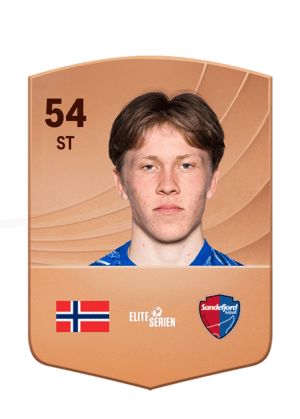 Storm Bugge Pettersen