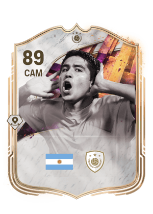 Juan Román Riquelme